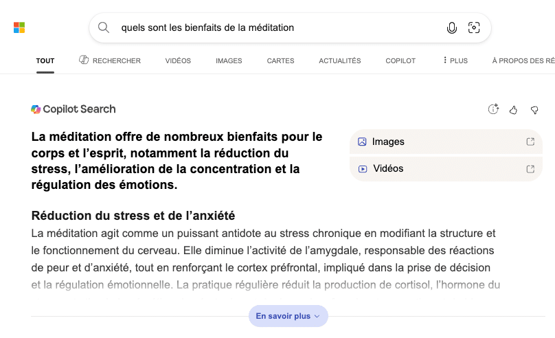Exemple comment apparaitre dans les recherches IA Bing Copilot