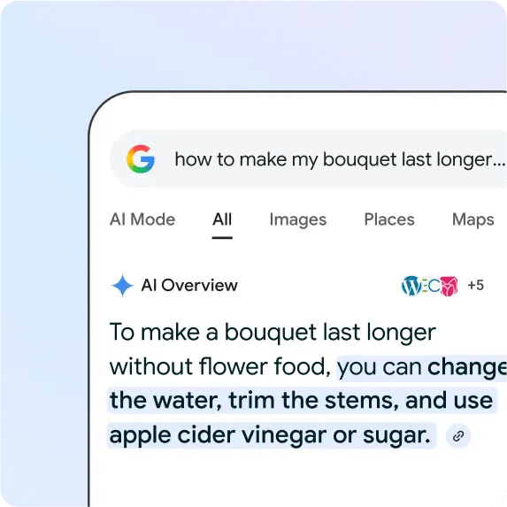 Exemple d'utilisation AI Overview