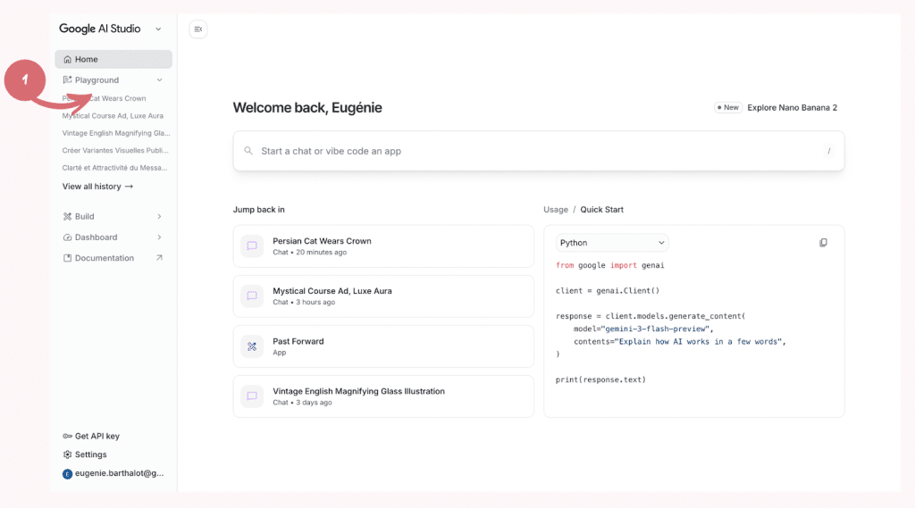 Tutoriel Interface Google AI Studio